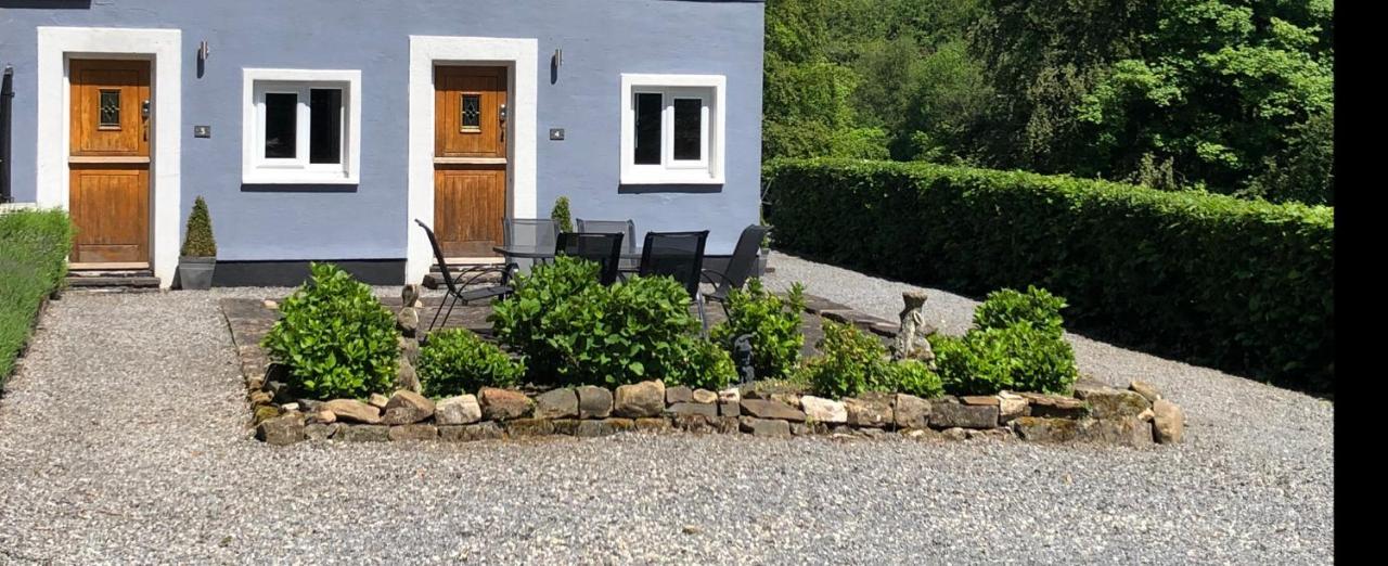 The Mill At Glynhir Bed & Breakfast Аманфорд Екстериор снимка